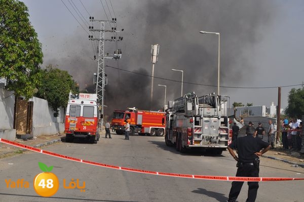 fireludkartoonmasna34 (48).JPG